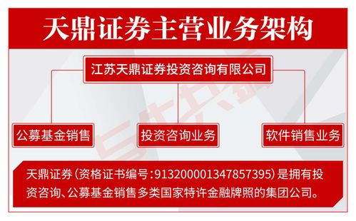 探析天鼎证券的正确投资路径与企业管理中的风险警示