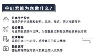 谷町君 以一站式服务App重塑日本房产投资，引领企业管理新范式
